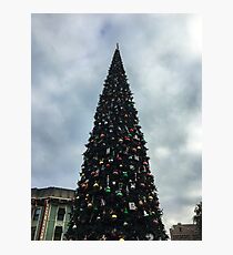 Oh Christmas tree Photographic Print