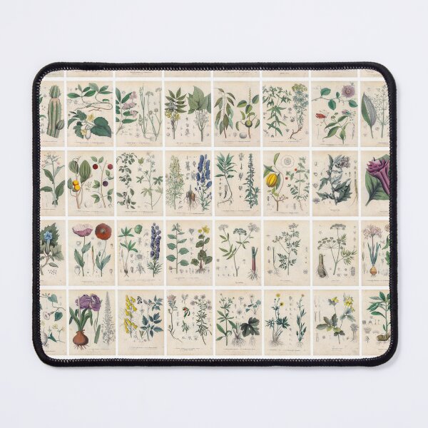 Item preview, Vintage Poisonous Plant Drawing, Poster, Portrait designed and sold by Michael Dietrich.