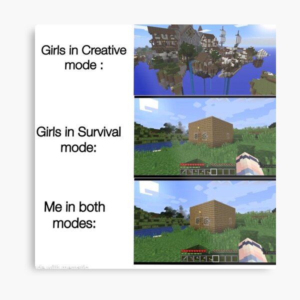 Netflix added minecraft storymode and u can make decisions pog. : r/memes