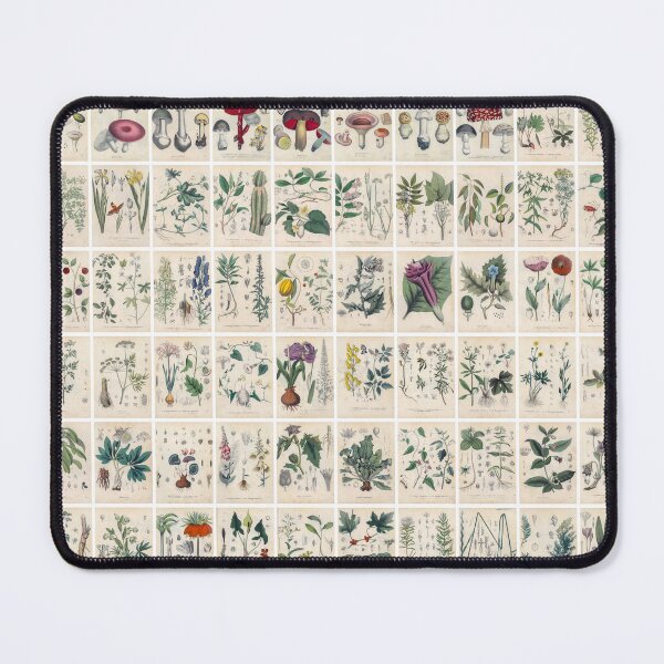 Item preview, Vintage Poisonous Plant Drawing, Poster, Landscape designed and sold by Michael Dietrich.