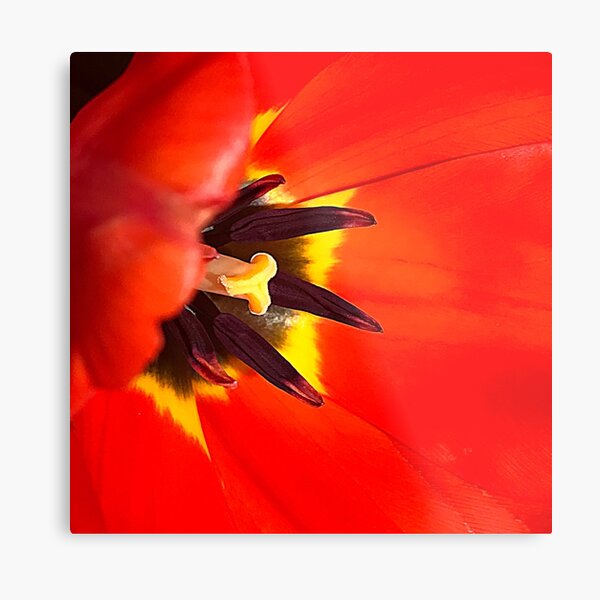 Item preview, Elegant Red Tulip Macro Artistic Close-Up  designed and sold by DEC02.