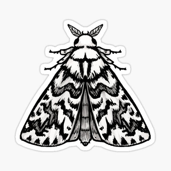 Item preview, North Island Lichen Moth small designed and sold by Laya Rose.