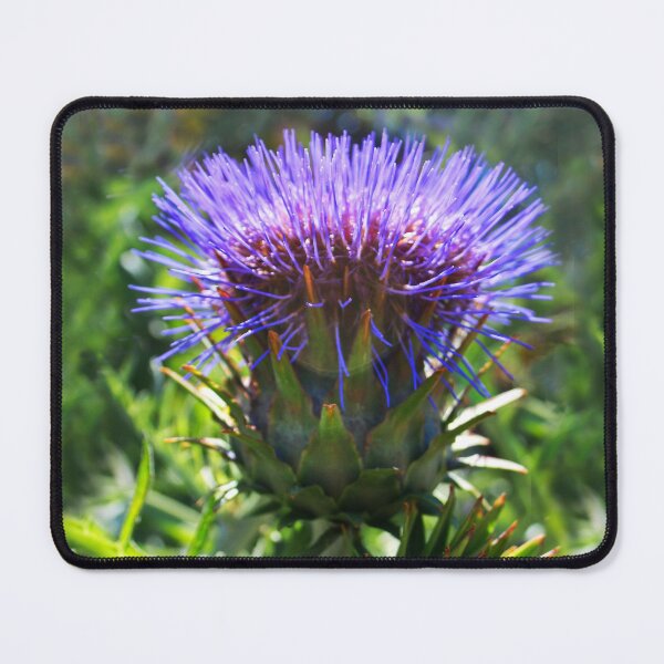 Item preview, Artichoke Flower designed and sold by heatherfriedman.