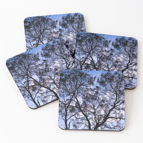 Item preview, Gum Tree At Dusk designed and sold by PhotosByFelix.