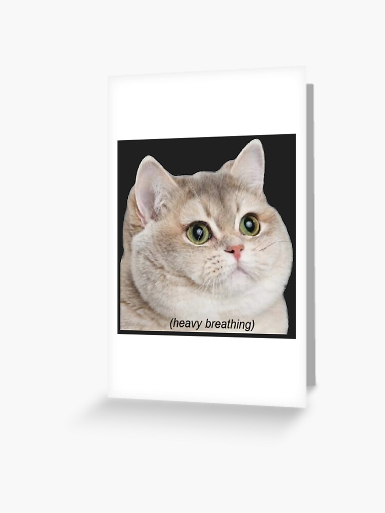 Drunk Floppa Meme Caracal Cat  Postcard for Sale by fomodesigns