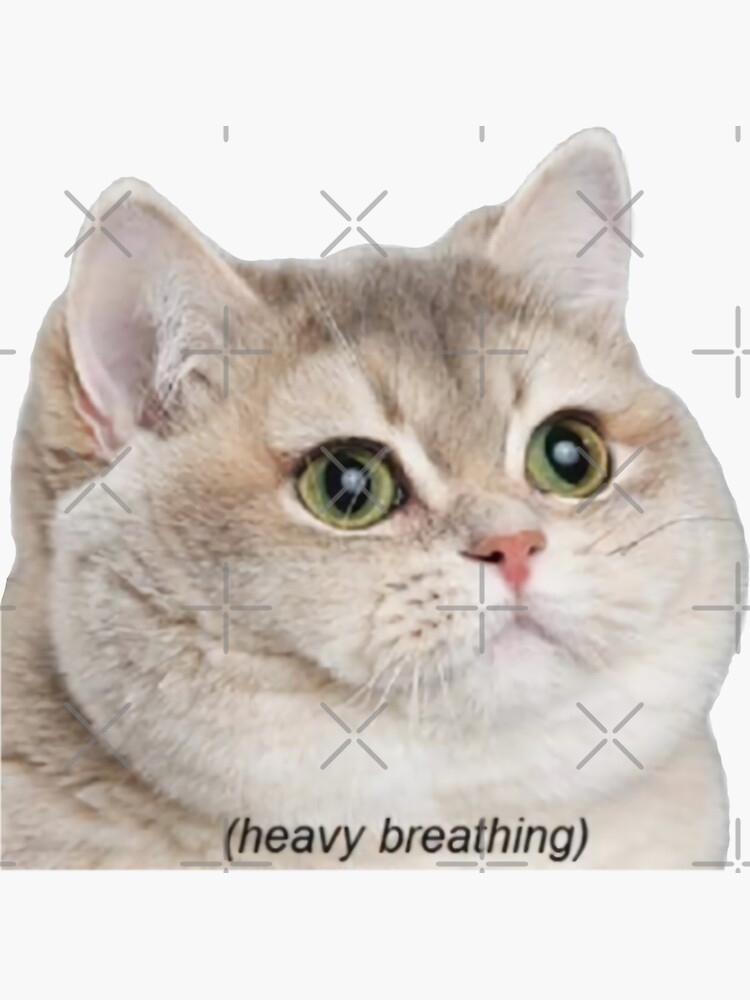 Drunk Floppa Cat Meme Sticker for Sale by fomodesigns