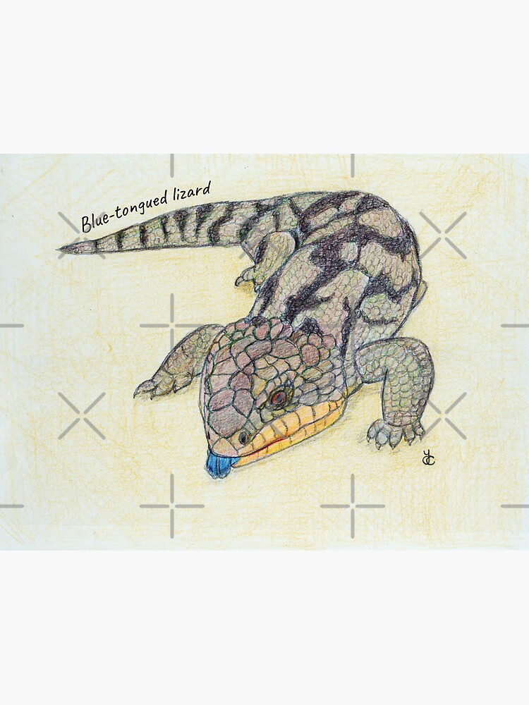 Thumbnail 3 of 3, Sticker, Blue Tongued Lizard 2 designed and sold by Acetry99.