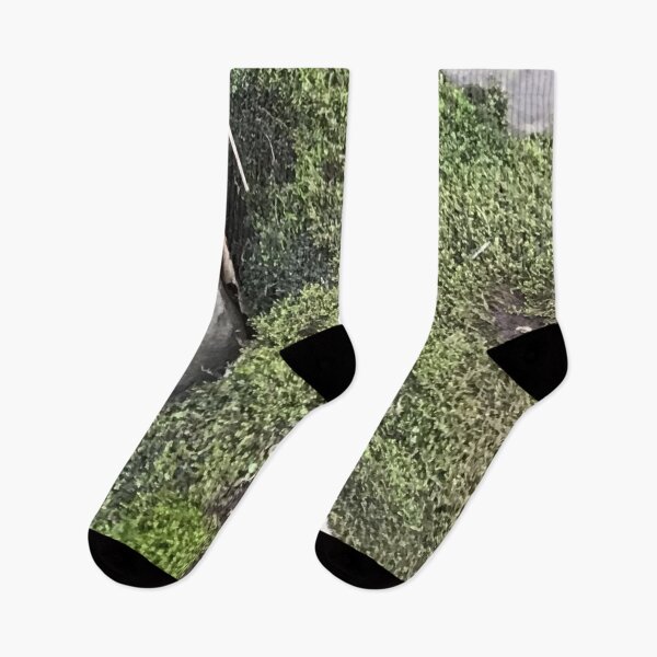Item preview, Green Moss (Close Up) designed and sold by CJRPics.
