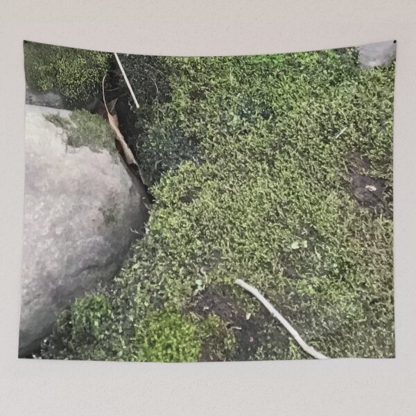 Item preview, Green Moss (Close Up) designed and sold by CJRPics.