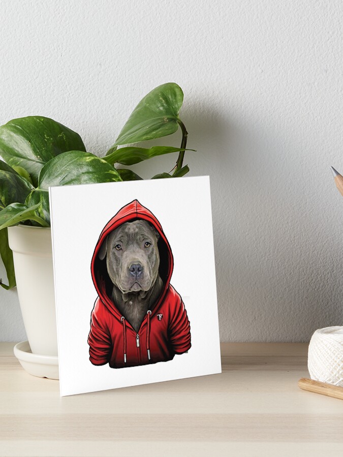 Staffordshire bull terrier clearance hoodies