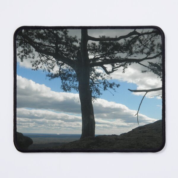 Item preview, High Altitude Conifer designed and sold by BethyBeeHerbs.