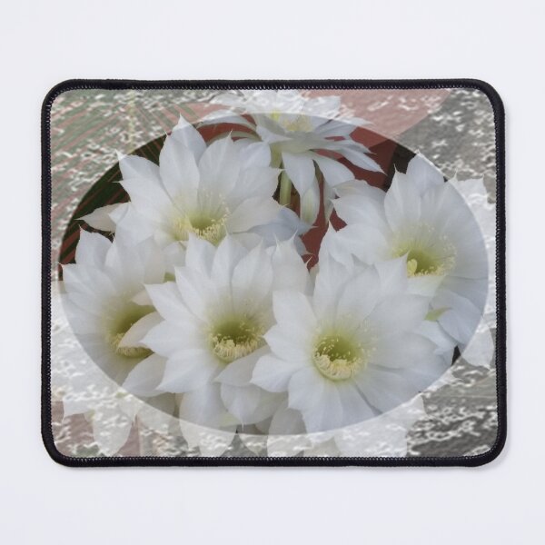 Item preview, Spring cactus flowers with lace trim by Iritof designed and sold by iritof.
