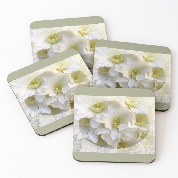 Item preview, Romantic Cactus White flowers with lace trim by Iritof designed and sold by iritof.