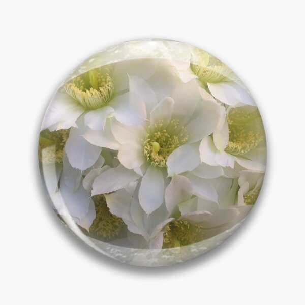 Artikelvorschau, Romantic Cactus White Blumen mit Spitzenbesatz von Iritof entworfen und verkauft von iritof.