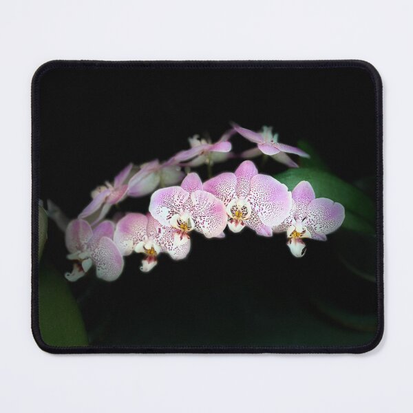 Item preview, Orchid Beauty designed and sold by LeanneAllen.