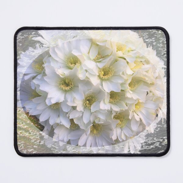 Item preview,  Romantic Cactus flowers bouquet with lace trim by Iritof designed and sold by iritof.