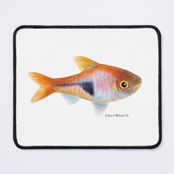 Item preview, Harlequin Rasboras Fish designed and sold by julianamotzko.