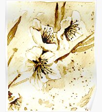 Almond blossoms Poster