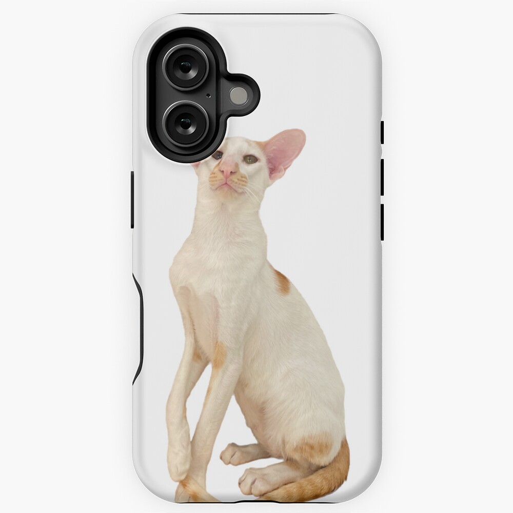 Item preview, iPhone Magsafe Tough Case designed and sold by hannahzgreat.