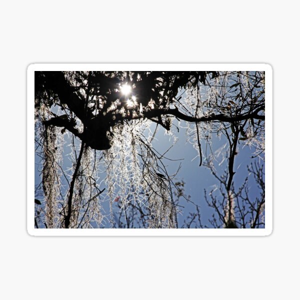 Item preview, Spanish Moss designed and sold by Debbie Oppermann.