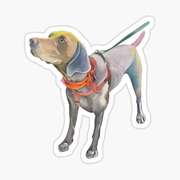 Finn Sticker
