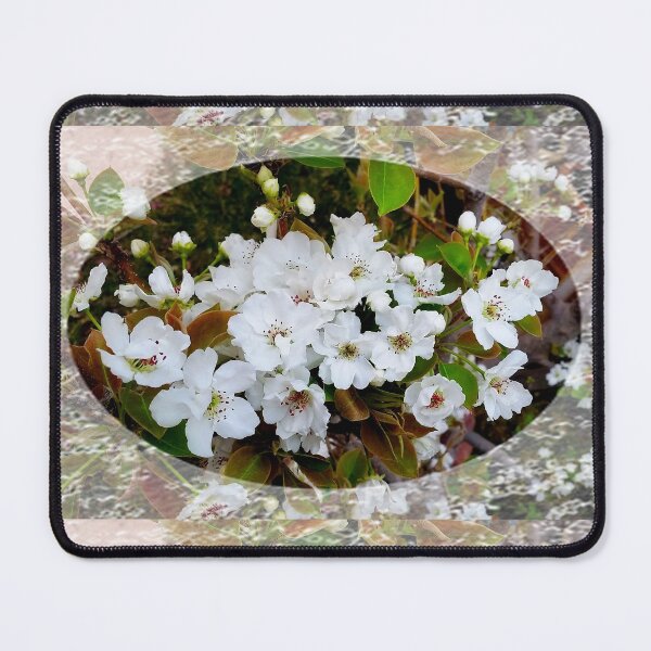 Item preview, White Blossom with lace trim by Iritof designed and sold by iritof.