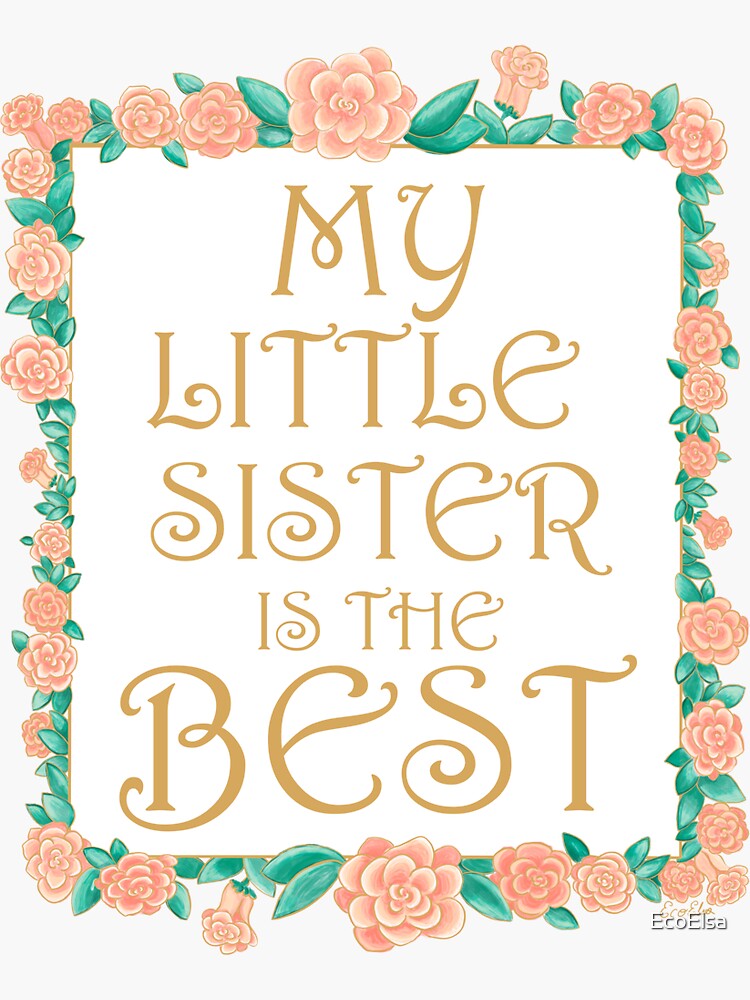 Amazon.com: Ruvinzo Sister Gifts, Sister Birthday Gifts from Sister, Best  Friend Birthday Gift for Women, Bestie Gifts for Women, Big Sister Gift  from Little Sister Blanket 60” x 50”, Soul Sister Gifts