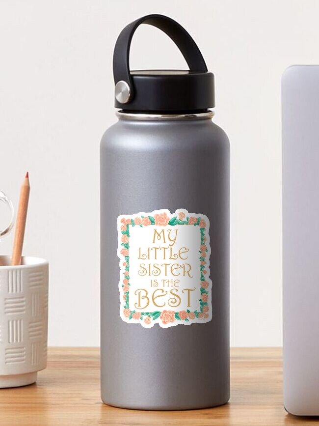 Amazon.com | Sisters Gifts from Sister - Meaningful Gift for Sister from  Sister - Sister gifts - Gift for Best Friend Women Big Sister Little Sister  Birthday Gifts - Stainless Steel Tumbler