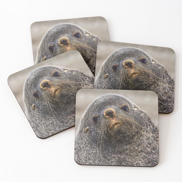 Item preview, Portrait of Fur Seal designed and sold by Jan Fijolek.