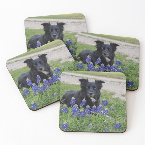 Item preview, Dog and bluebonnets designed and sold by Walzier4891.