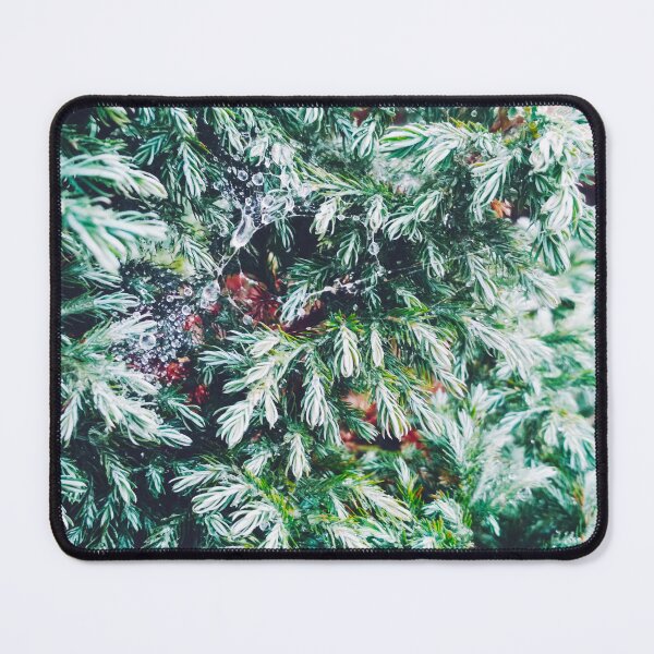Item preview, Fir tree covered with drops of rain designed and sold by helenkaiy.