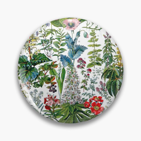 Item preview, medicinal plants (plantes medicinales) white/transparent background designed and sold by shmoodle.