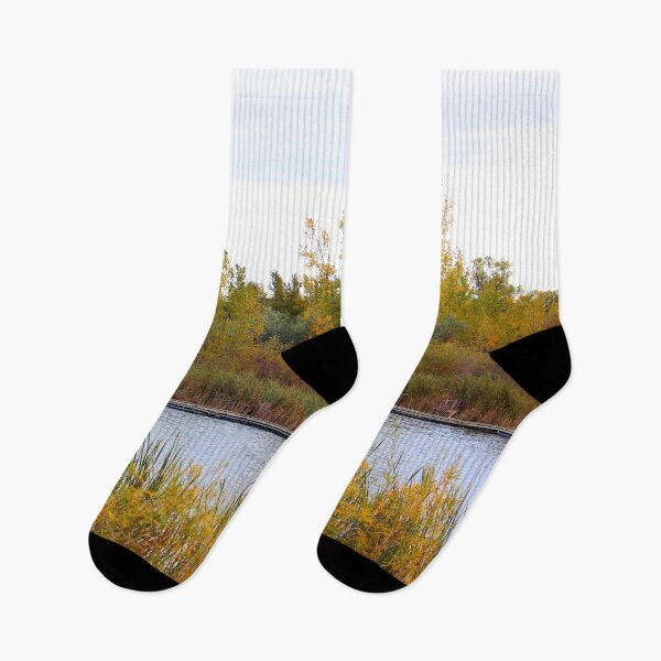 Item preview, Autumn Pond No.2 designed and sold by MaryLinH.