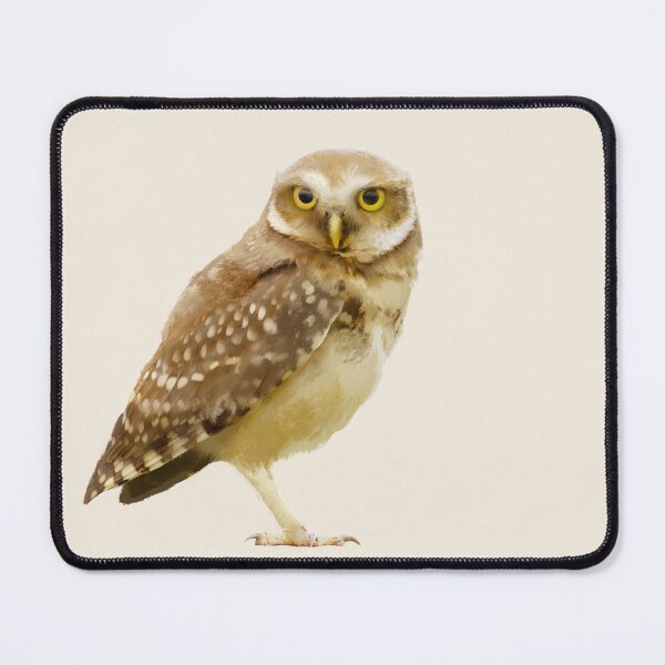 Item preview, Owl | Burrowing Owl | Birds | Owls | Hoot | Owl Painting designed and sold by AlyCastelluccio.