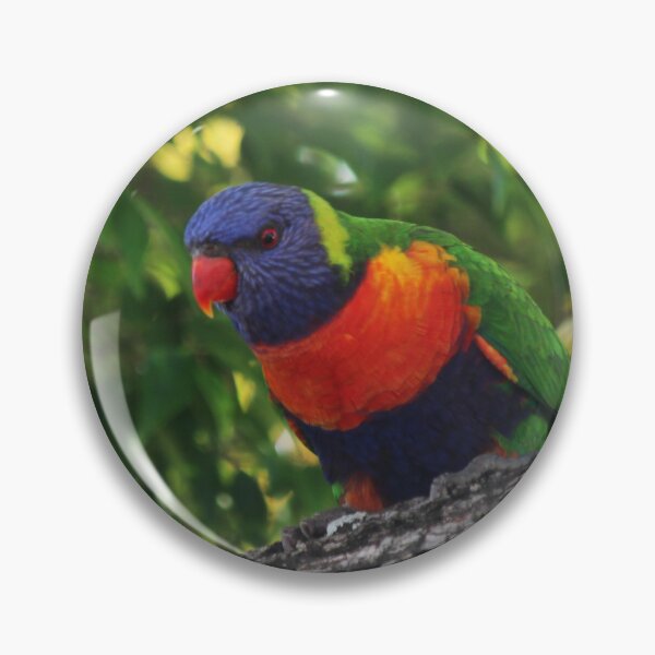 Item preview, Lovely Lorikeet designed and sold by KazM.