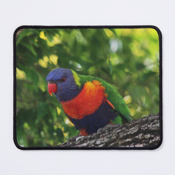 Item preview, Lovely Lorikeet designed and sold by KazM.