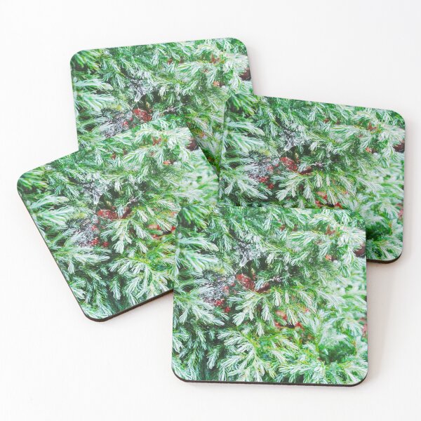 Item preview, Fir tree covered with drops of rain designed and sold by helenkaiy.