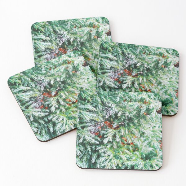 Item preview, Fir tree covered with drops of rain designed and sold by helenkaiy.