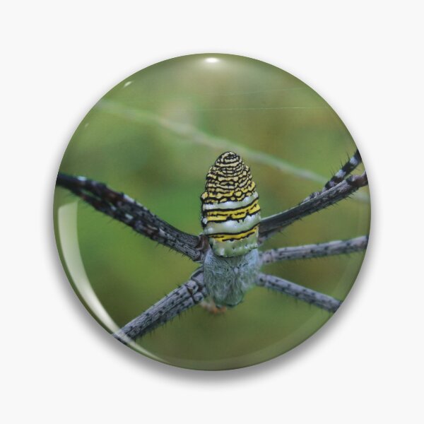 Item preview, Unique Spider designed and sold by Wulaningsih.