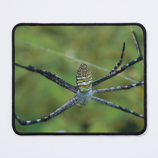 Item preview, Unique Spider designed and sold by Wulaningsih.