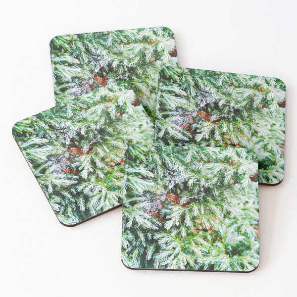Item preview, Fir tree covered with drops of rain designed and sold by helenkaiy.