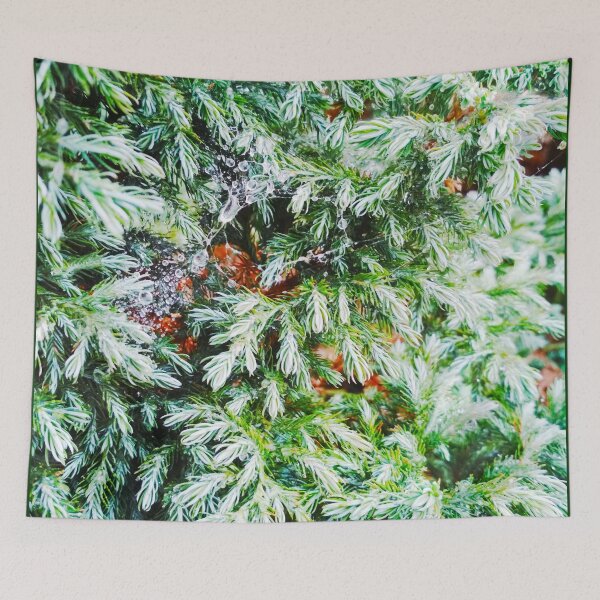 Item preview, Fir tree covered with drops of rain designed and sold by helenkaiy.