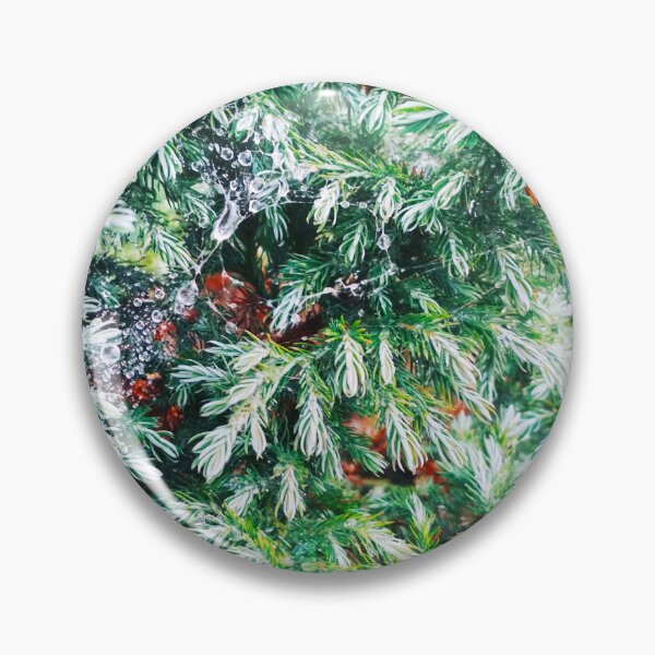 Item preview, Fir tree covered with drops of rain designed and sold by helenkaiy.