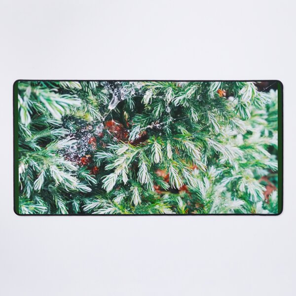 Item preview, Fir tree covered with drops of rain designed and sold by helenkaiy.