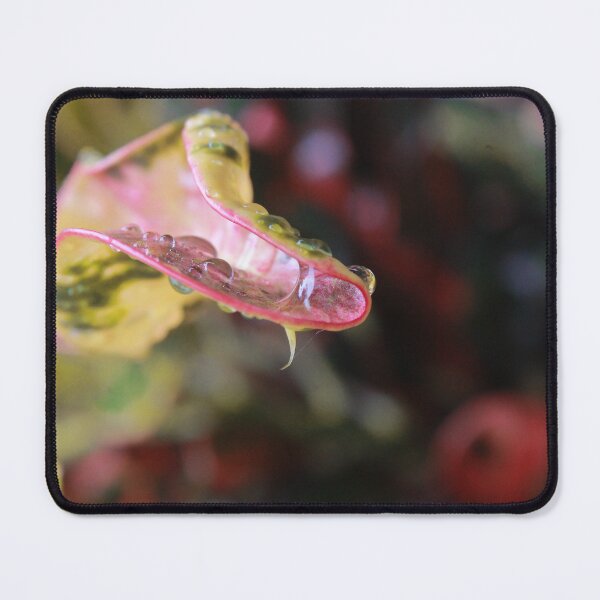 Item preview, Waterdrops On A Leafe designed and sold by Wulaningsih.