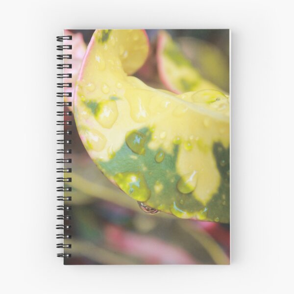 Item preview, Waterdrops On A Leafe designed and sold by Wulaningsih.