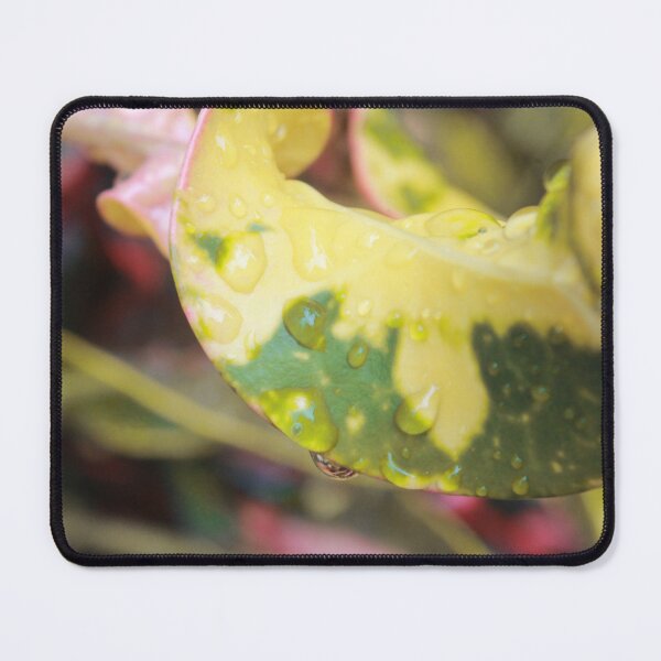 Item preview, Waterdrops On A Leafe designed and sold by Wulaningsih.