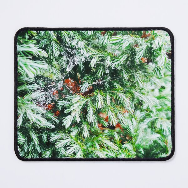 Item preview, Copy of Fir tree covered with drops of rain designed and sold by helenkaiy.