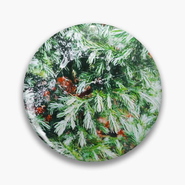 Item preview, Copy of Fir tree covered with drops of rain designed and sold by helenkaiy.
