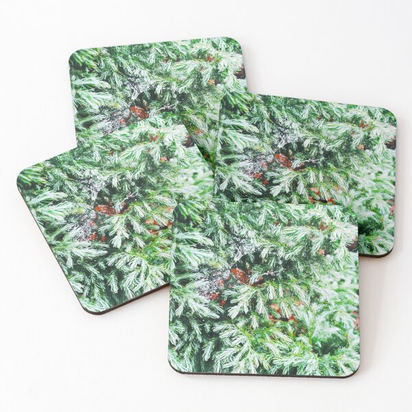 Item preview, Copy of Fir tree covered with drops of rain designed and sold by helenkaiy.